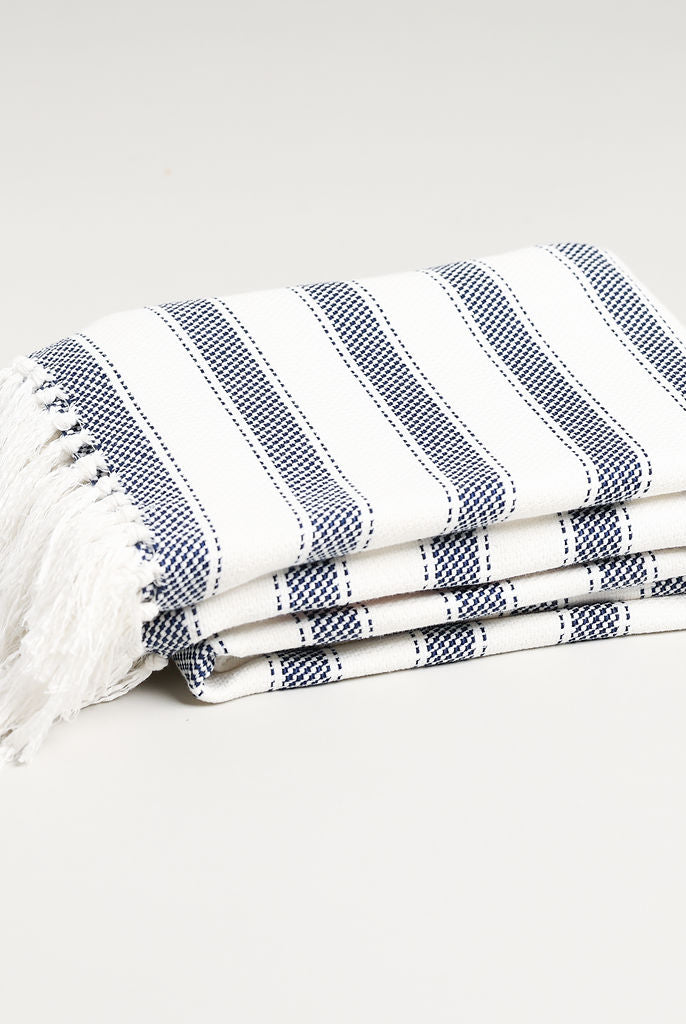 this is a Blue Striped Throw Blanket